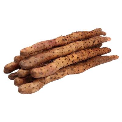 顺丰包邮河南焦作温县铁棍山药