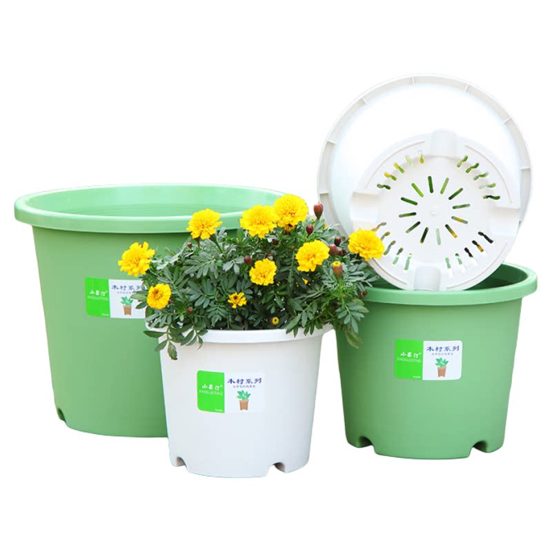 小果汀网红环保新料PP塑脂蝴蝶花盆