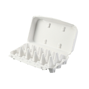 一次性鸡蛋托收纳盒白色鸡蛋保鲜盒4枚/6枚/10枚15枚20鸡蛋格蛋托