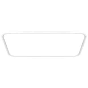 德国柏曼全光谱护眼客厅灯吸顶灯普瑞灯珠简约长方形智能灯具