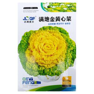 黄心乌塌菜种籽菊花心菜秋季耐寒冬季蔬菜淮南雪里金花乌菜种子孑