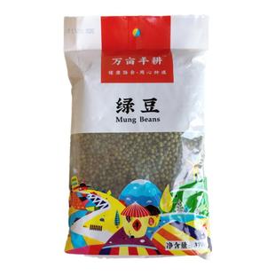 万亩丰耕绿豆活性发芽绿豆保留胚芽起沙东北产粗粮绿豆汤