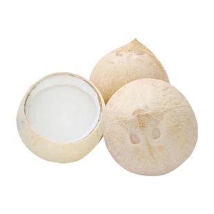 泰国进口牛奶椰皇大果新鲜椰青椰白水果老椰子香水椰整箱椰香浓郁