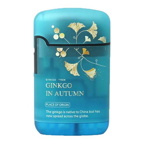 ZENGAZ英伽银杏夜光充气防风打火机小新清高颜值耐用火焰调节高端