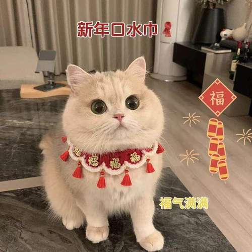 猫咪新年项圈过年喜庆春节宠物福字围巾新年围脖猫狗衣服小猫围兜