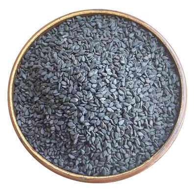 正宗驻马店黑芝麻2025年新