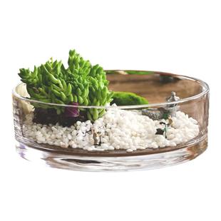 花时间《帛画》日式圆形大口微景观桌面摆件玻璃花瓶小鱼缸苔藓瓶