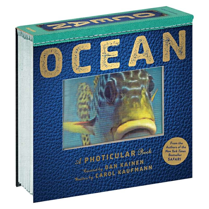 光与影视觉书系列 海洋 3D立体动画书 英文原版绘本 Ocean A Photicular Book 纽约时报畅销书 神奇翻翻书 英文版进口原版英语书籍