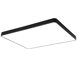 超亮LED吸顶灯大气长方形客厅灯现代简约主卧室餐厅房间圆形灯具