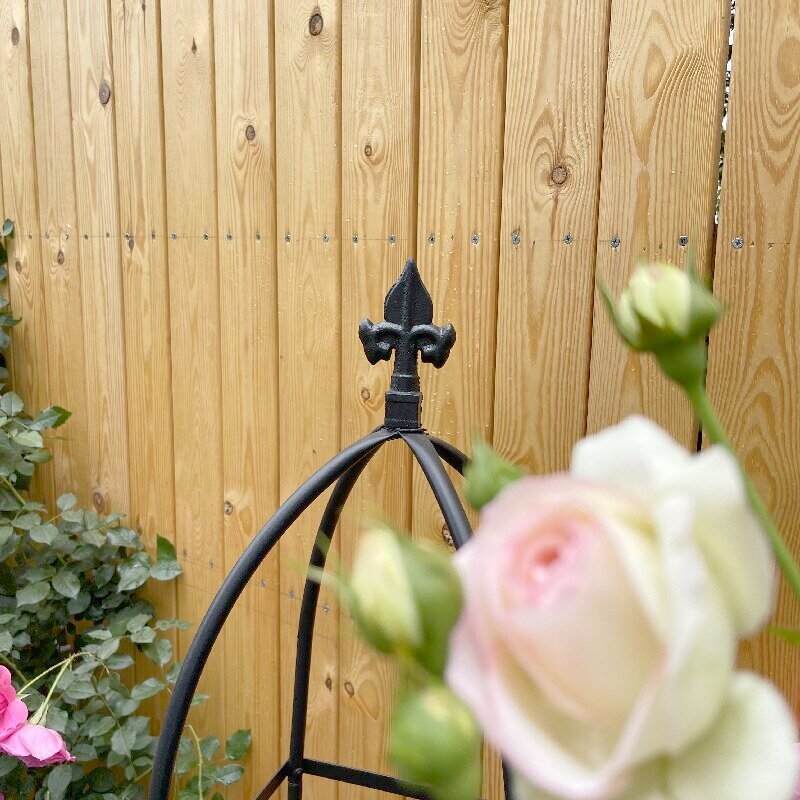 可拼接花园月季花架支撑架植物园艺藤飘香支架藤架铁线莲爬柱形