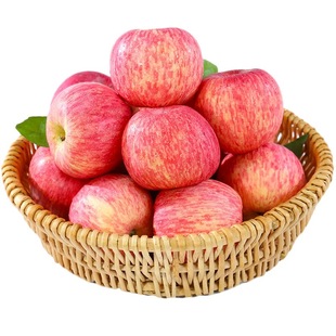 正宗烟台栖霞红富士苹果自家果园特产水果新鲜脆甜冰糖心苹果包邮
