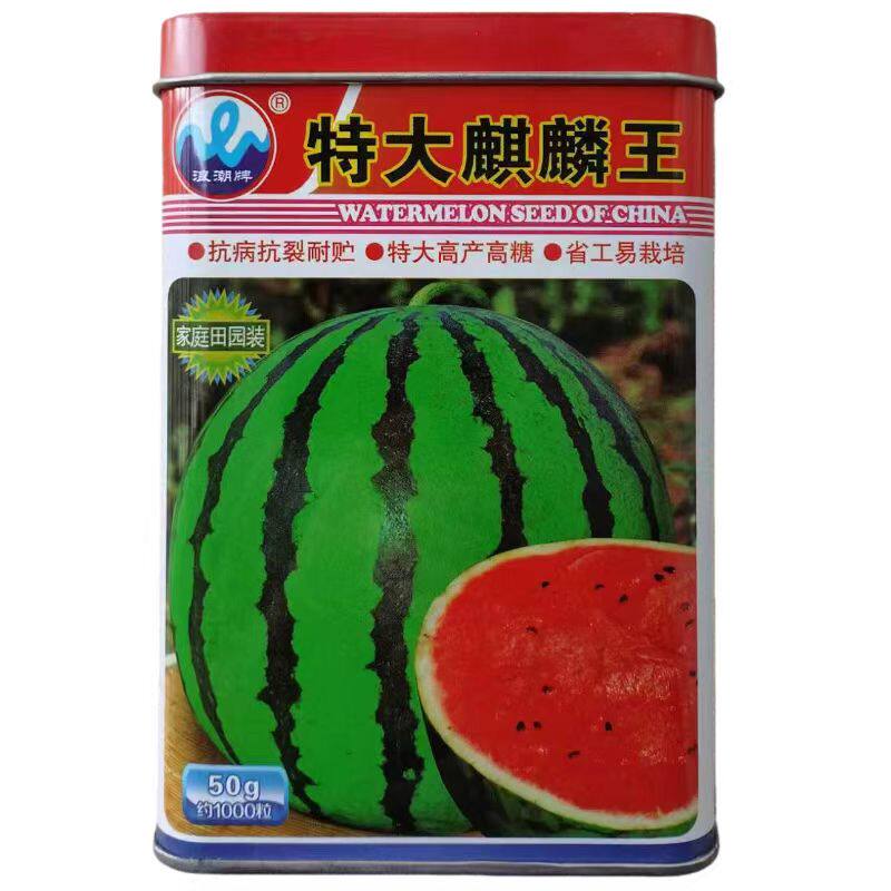 特大麒麟王西瓜种子大果甜麒麟