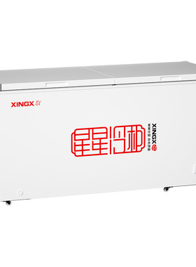 星星一级能效商用冷冻柜大容量