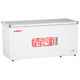 星星冰柜商用冷冻柜大容量冷藏冷冻卧式单温雪柜保鲜冰柜