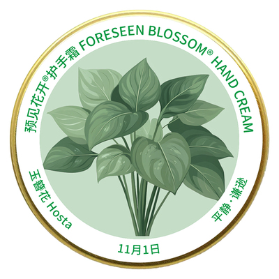 12月生日花补水保湿手霜生日礼物