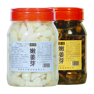 嫩姜芽铜陵白姜腌制生姜糖醋泡姜新鲜仔姜姜头姜片自制泡菜下饭菜