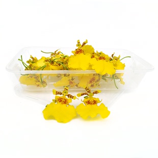 新鲜跳舞兰 金蝶兰 文心兰食用花酒店西餐摆盘装饰鲜花约30朵/盒