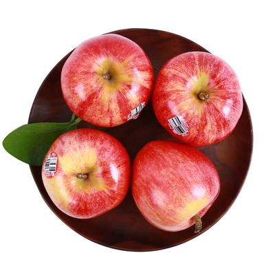 新西兰进口加力果嘎啦果