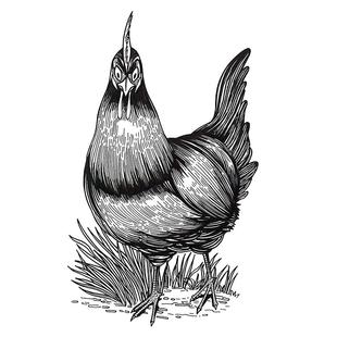 素描漫画卡通人物真人照片转手绘头像设计画像定制动漫代画情侣照