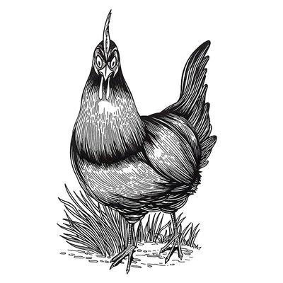 手绘真人头像设计定制代画照素描