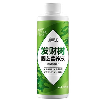仙花四季发财树园艺营养液