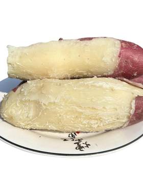 河南新鲜现挖白心板栗薯粉面香甜