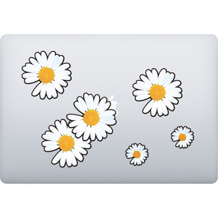 9枚GD小雏菊贴纸个性潮牌笔记本电脑手机平板吉他水杯装饰贴画