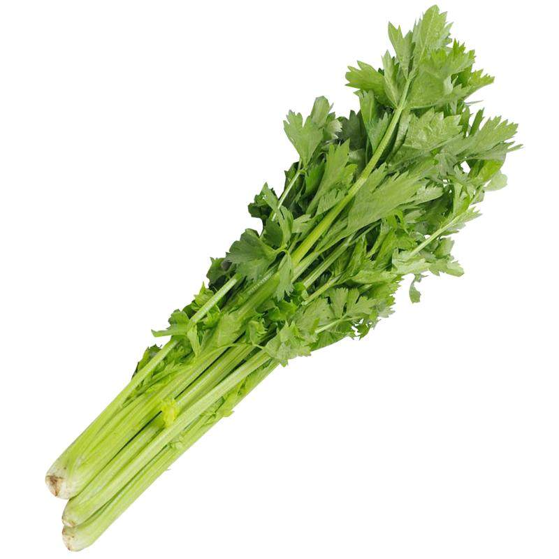 四川芹菜新鲜蔬菜水芹菜当季清香白芹菜时令叶菜香芹