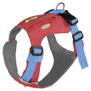 宠物狗狗牵引绳狗链柴犬柯基专用狗绳小狗胸背带清仓捡漏售完为止