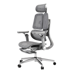 赛谷人体工学椅三背分区撑腰护背