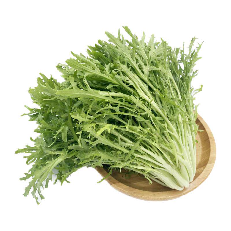 【槿馐】苦细叶半斤-5斤新鲜苦叶生菜蔬菜苦菊沙拉食材狗牙菜苦苣