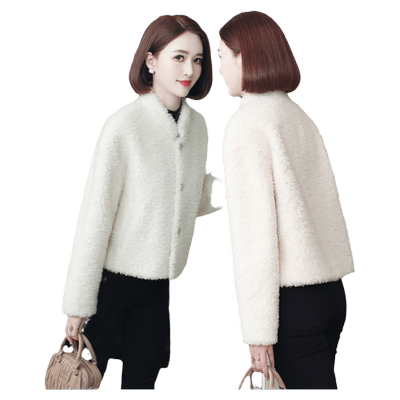 皮草外套短款羊剪绒颗粒傲冬新款