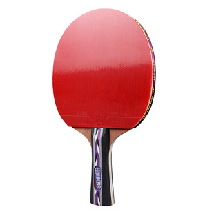 友谊729乒乓球拍专业级学生专用5星兵乓球拍横直套装官方旗舰正品
