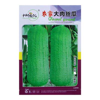 清香大肉丝瓜蔬菜种子