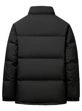 鸭鸭短款立领羽绒服男2024秋冬新品时尚户外休闲简约保暖外套潮HP