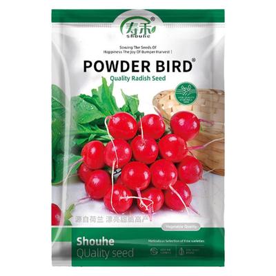 樱桃小萝卜种子种籽四季