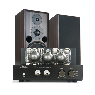 老陈胆机KT88推挽大功率胆机音响套装HiFi发烧级蓝牙电子管功放机