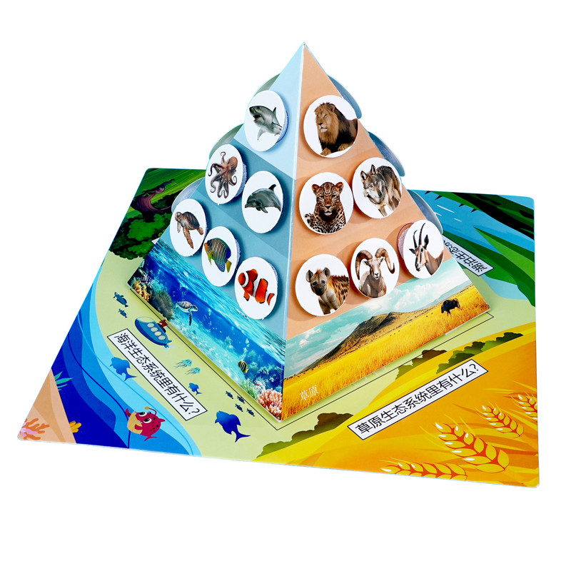 食物链金字塔海陆全套小学生手工