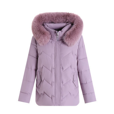 鸭鸭短款羽绒服短款加厚洋气外套