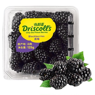 怡颗莓黑莓鲜果水果 黑梅树莓浆果宝妈孕妇新鲜水果推荐driscolls