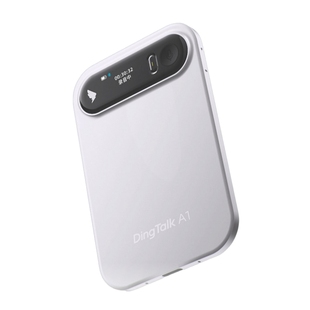 钉钉DingTalk A1智能录音笔AI会议纪要 AI分析总结实时转写翻译电话录音便携式多语言f翻译超长待机企业版