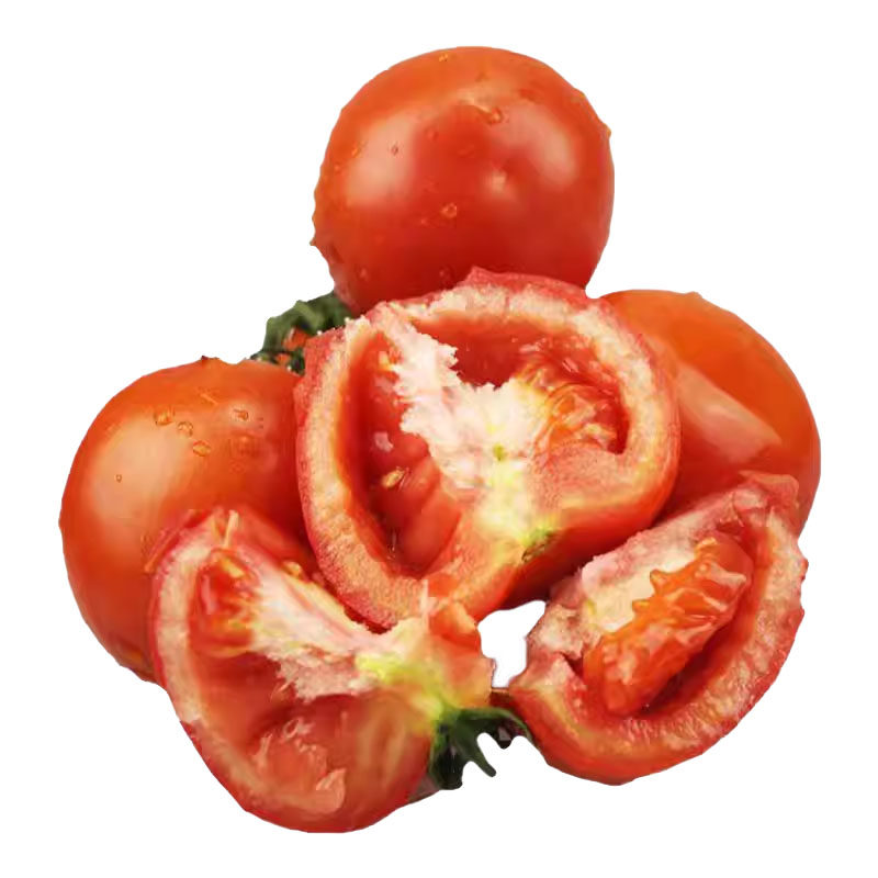 ��ɽ¶��ɳȿ������ ��Ʒ�����Է��� ����������� 3�� С�� 9.62Ԫ