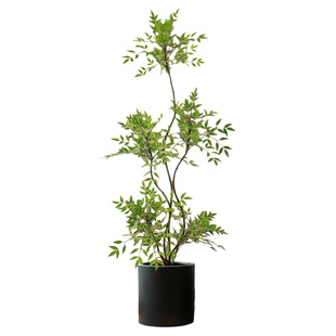 高级感仿生绿植南天竹客厅轻奢装饰树玄关蓝天竹大型落地假盆栽