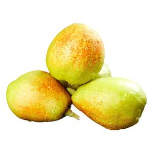 新疆库尔勒香梨官方旗舰店正宗当季中秋新鲜水果产地直发5斤包邮