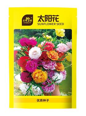 史丹利重瓣太阳花种子籽七彩大花特大单瓣大朵盆栽种孑四季开花