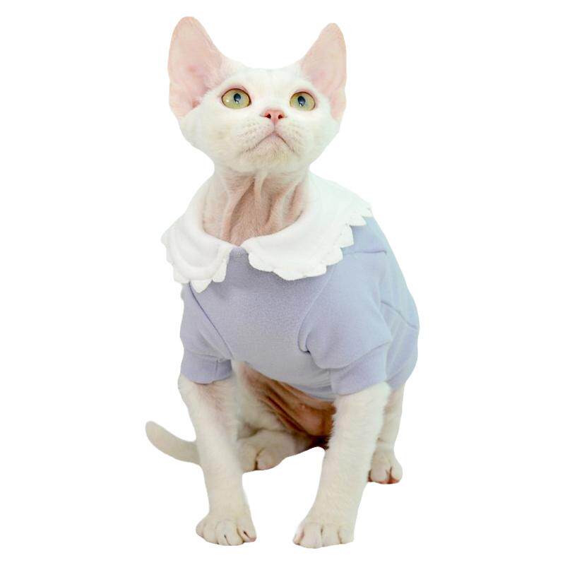 MOMO德文猫咪衣服打底衫德绒保暖娃娃领春秋网红无毛猫英短猫衣服