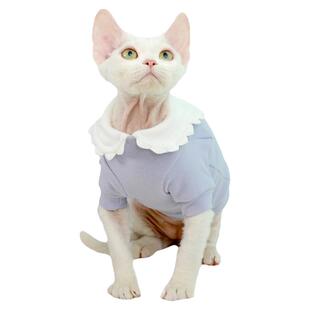 MOMO德文猫咪衣服打底衫德绒保暖娃娃领春秋网红无毛猫英短猫衣服