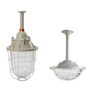 国标LED防爆灯工厂房车间照明灯灯罩仓库灯隔爆型灯专用加油站灯