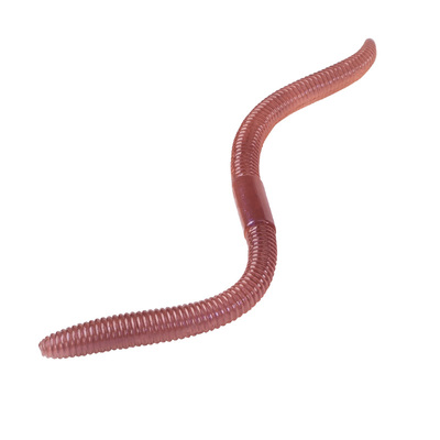 国王路亚蚓舞面条虫黑坑推荐软饵