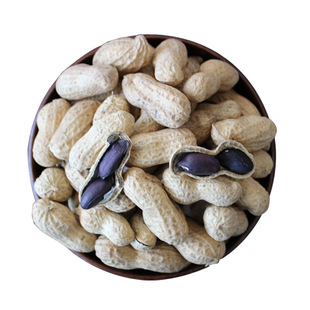 新货黑花生带壳生的农家种植晒干大粒黑紫皮花生米籽子非云南特产